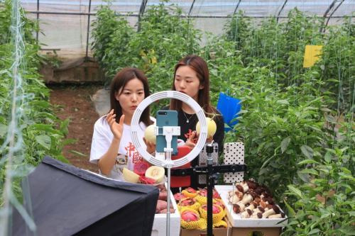 女大学生返乡创业玩出农业新花样