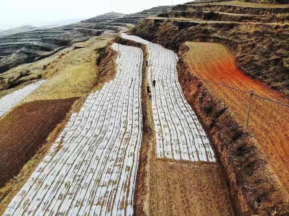 同心奔小康丨榆中县高崖镇坚持产业发展基线激发农村发展内生动力