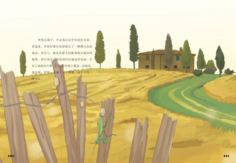 开头介绍螳螂的各个部位,让读者对螳螂有大致的了解.