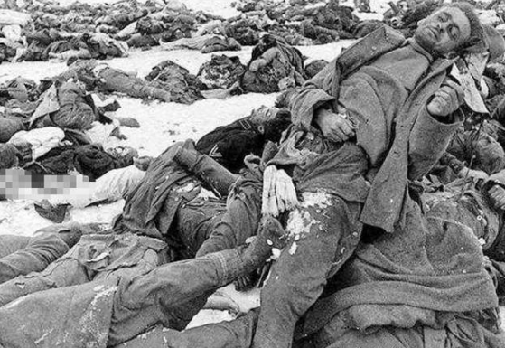 二战最惨烈一战双方血战199天死亡200万平均每天上万人损失