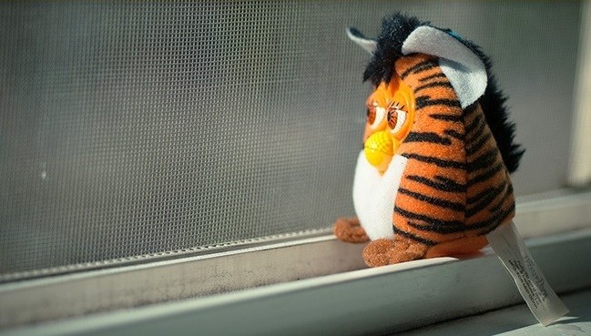 每个人都会做的15件奇怪又有趣的事