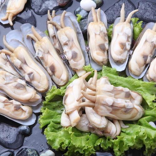 吃一次就上瘾!肥美鲜嫩的爆炒蛏子肉,新手一次就能学会的家常菜_腾讯