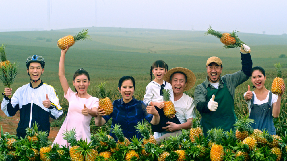 徐闻有片菠萝的海是这样爆红的