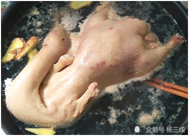 人间清醒之煮熟的蛋