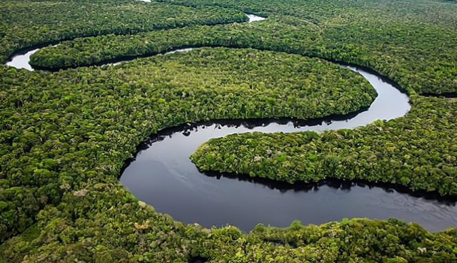 亚马逊河有多可怕,为什么河上没有桥,甚至无人敢下水?_腾讯新闻