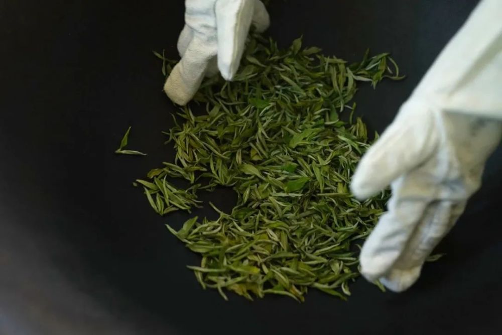 五一旅行采茶炒青你所不知道的大理文艺路线