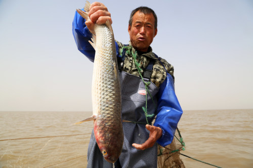 实拍无棣渔船归港鱼满仓