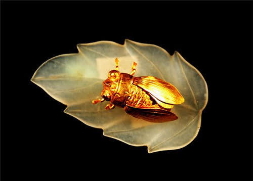 江苏发现一男四女合葬墓,出土一只"金蝉",专家:至少值9个亿