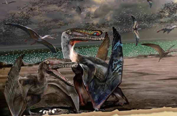 哈密戈壁里的珍稀翼龙化石2014年,美国《现代生物学》杂志报道了来自