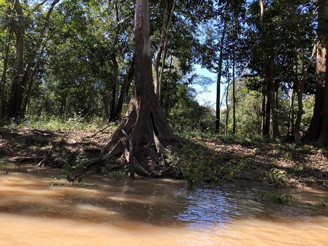 亚马逊河有多可怕为什么没一座桥能跨过它甚至无人敢下水