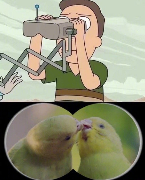 《长歌行》吻戏让人"意难平"!阿隼不行太损了,找不到嘴才绝