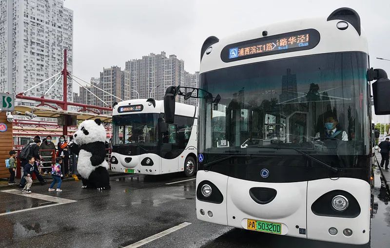 xmb熊猫巴士图片