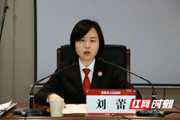 茶陵县人民法院召开队伍教育整顿第三次工作推进会