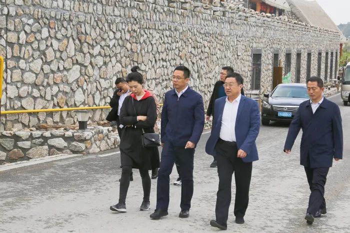要闻代县长王蕾到首山镇兴隆镇调研