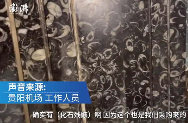机场男厕洗手池布满化石,地质学家戏称:有成为网红打卡地的潜质