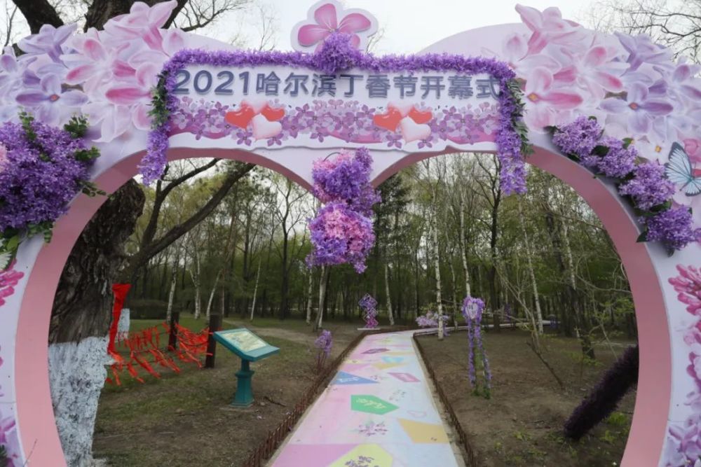 2021哈尔滨丁香节超多创意活动花式打卡方式等着你