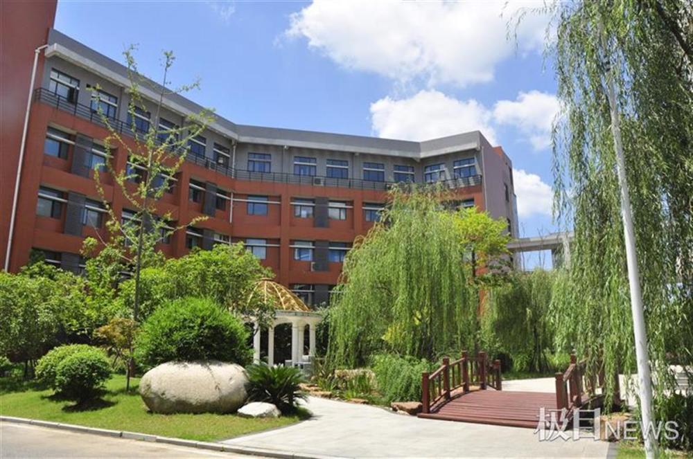 武汉市常青第一中学:迅速崛起的新兴名校_腾讯新闻