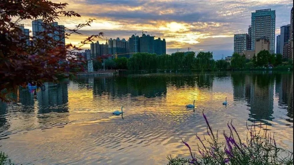 大运图鉴|带你领略青白江的别样风景