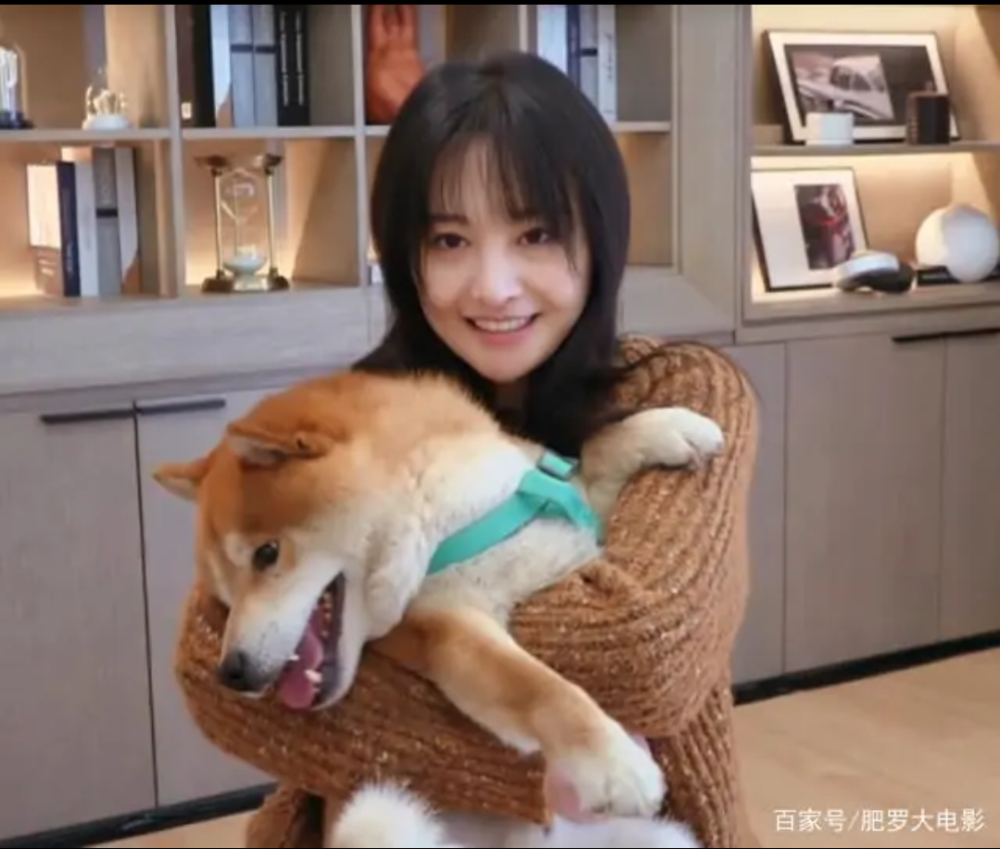 6亿却舍不得给狗看病?这次爆热搜不会给郑爽涨片酬了_腾讯新闻