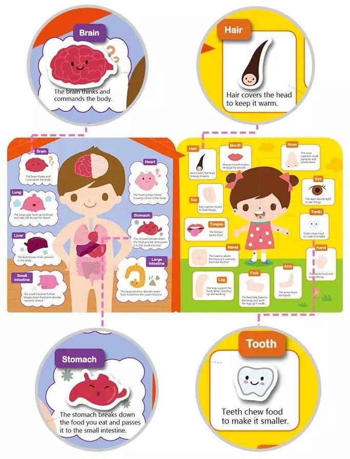 为什么孩子学了很多英语单词却不会用 这5种方法的重要性按递减排序 腾讯新闻