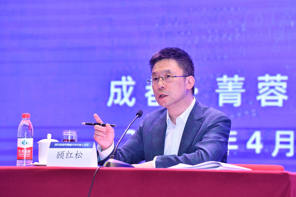 2020年四川数据开放指数 成都宜宾排名前两位