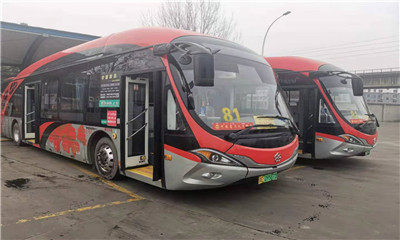 洛阳市公交集团81路班组荣获全国工人先锋号称号