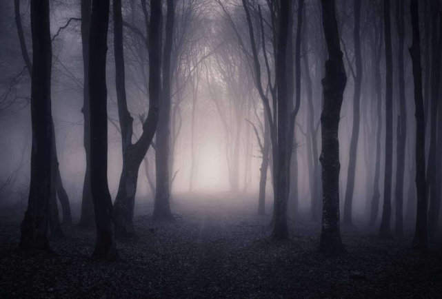 人类第一次害怕黑暗森林女研究生发现神秘信号要不要回复