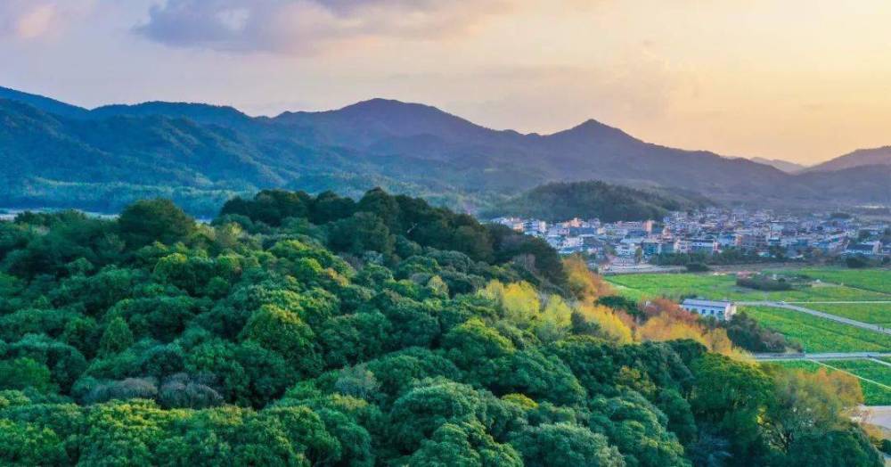 "福建省是南方重点集体林区和重要生态屏障,森林覆盖率达66.