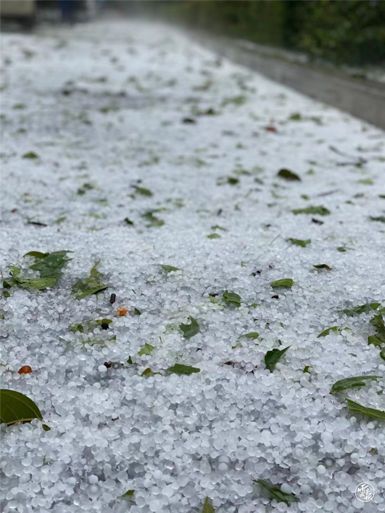 今日文山突降暴雨冰雹致万余亩农作物受灾