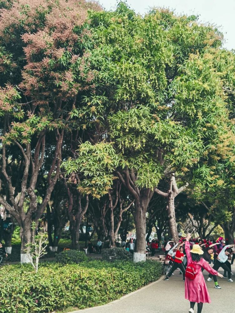 注意河源路边的这种果比垃圾桶还脏不要再摘来吃了