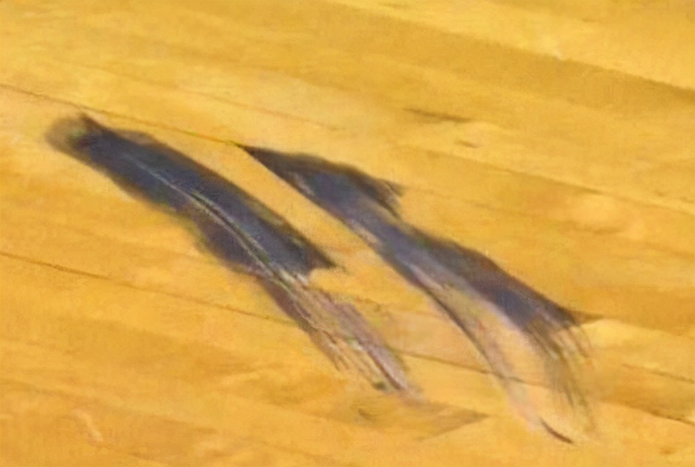 詹姆斯 NBA力量最强的球星：詹姆斯扣瘪篮球，张伯伦轻松举起成年男子