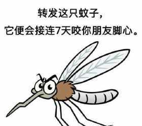 蚊子的触角里有一个受热体,对温度十分敏感,让它在50米外就能通过触角