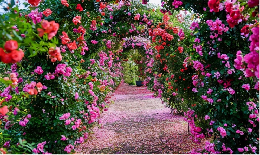 武汉周边1小时就有世外桃源!百花盛开,五一来这里把日子过成诗