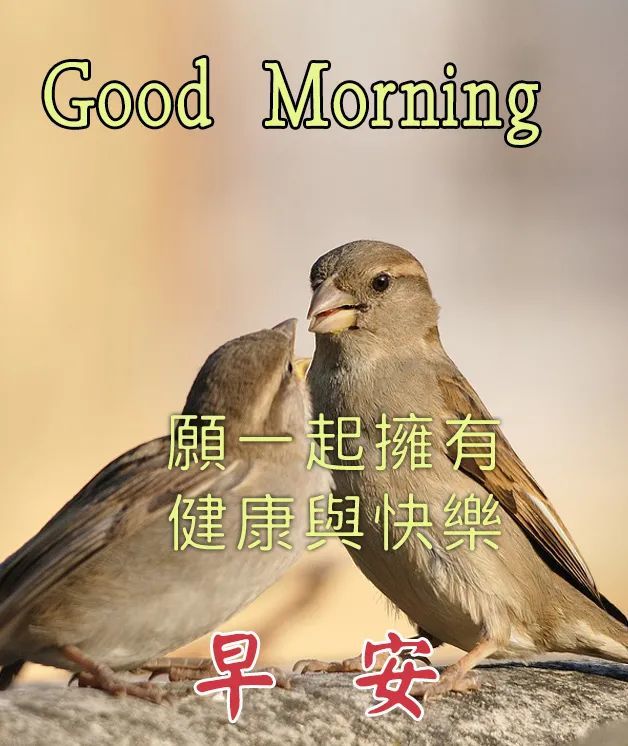 早安图片带字大全早安图片带字祝福语