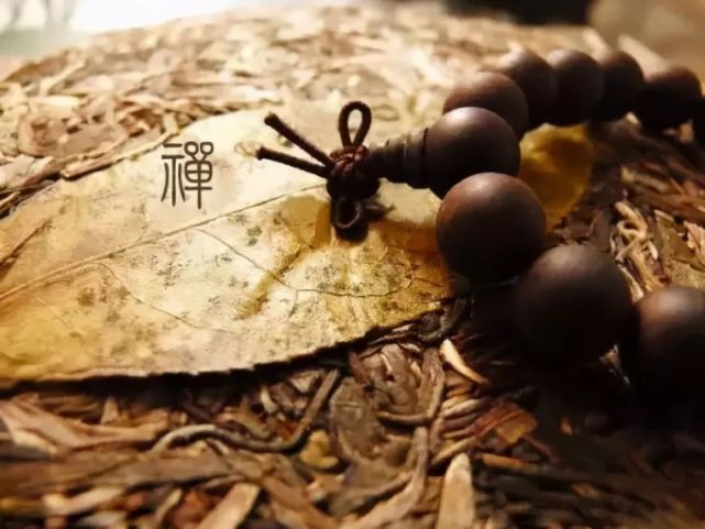 菩提树下等千年,只是为见你一面