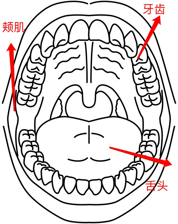 為什麼有人會頻繁咬到舌頭醫生可能是這些疾病的信號