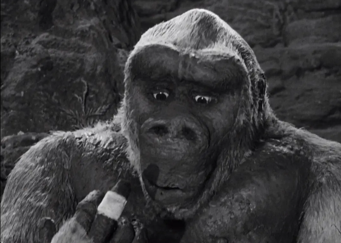 因为2017年上映的《金刚:骷髅岛》的剧情,与1993年的《金刚》就完全不