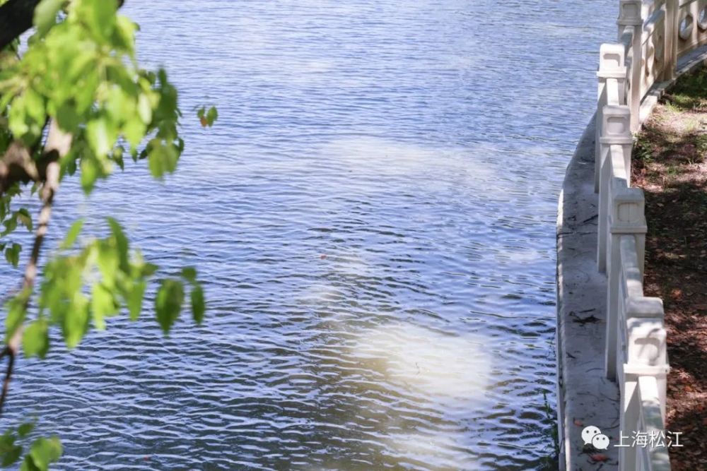 这些地方你都去过吗?