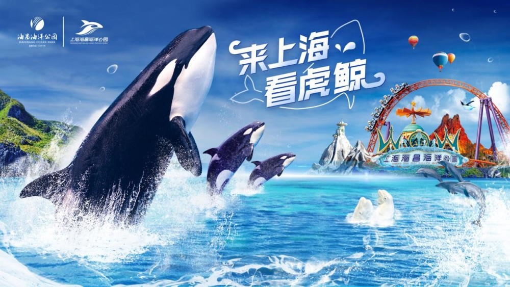 来上海看虎鲸,上海海昌海洋公园科技美食潮玩节限时开启!_腾讯新闻