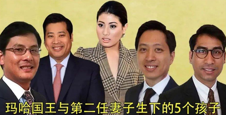 韩金龙老婆图片