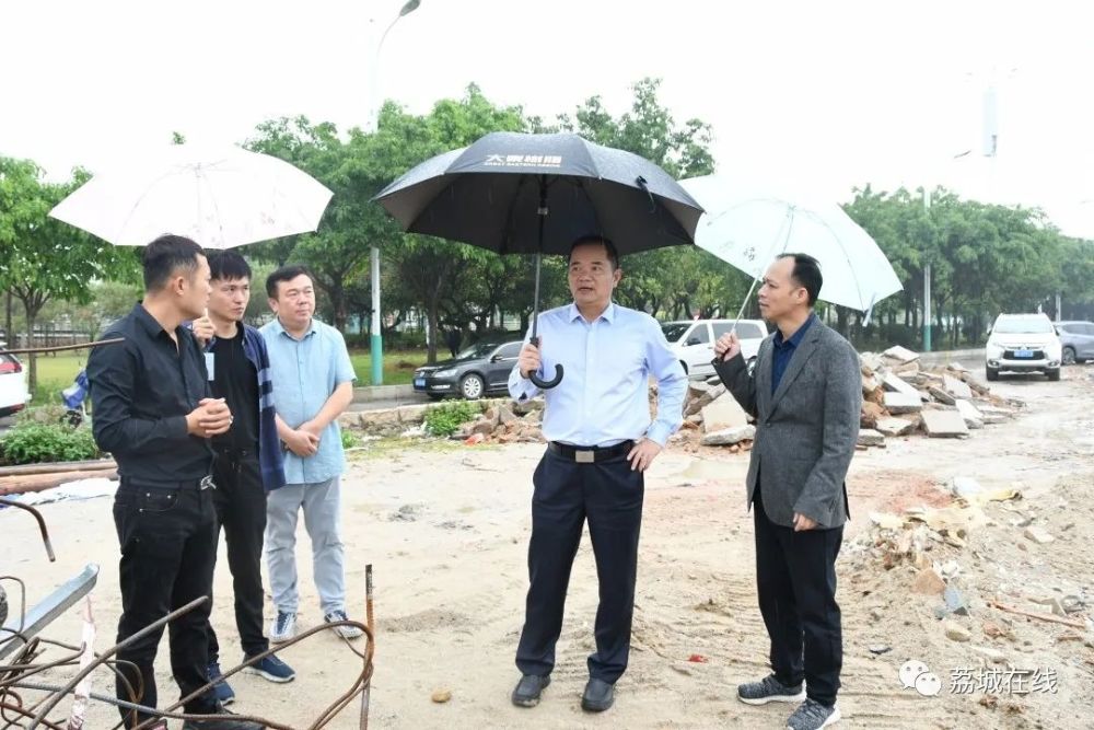 新度镇全域土地综合整治和生态修复项目工作,副区长唐荣堂一同参加