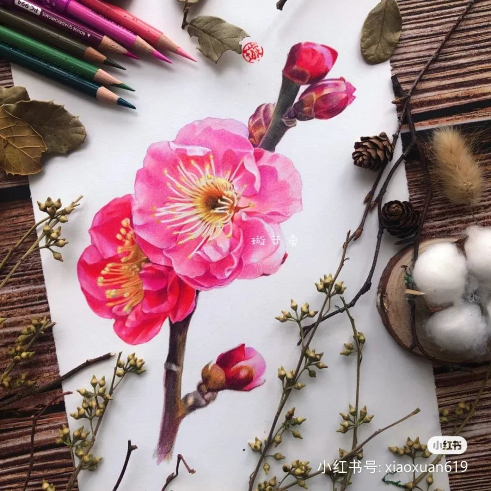 彩铅节气与节日的色彩