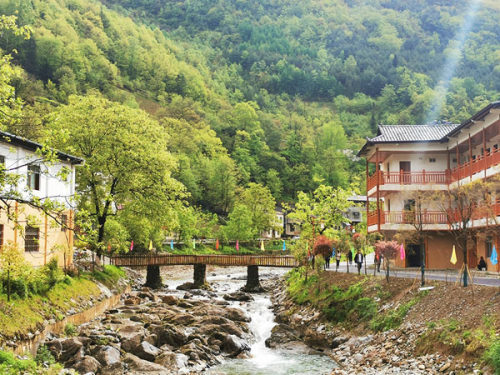 力争成为厚坪乡旅游发展的龙头和标杆,打造城口县农文旅深度融合的"龙