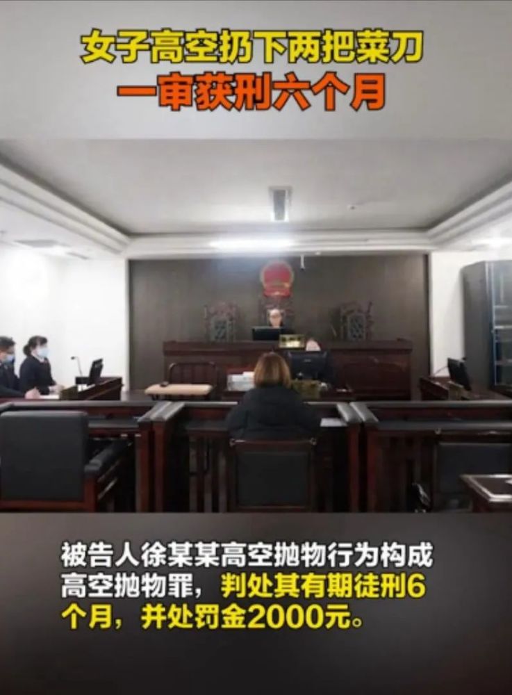 高空抛物入刑居高不能任性