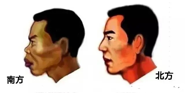 因为气候的原因北方人都是高鼻子而南方人都是塌鼻子