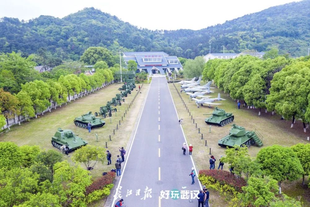 去蔡甸登高赏景采茶踏青这里春光独好