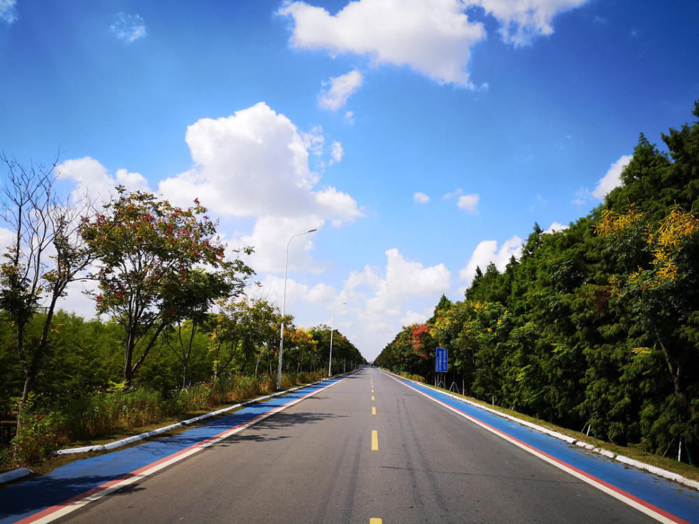 国道-羽青线-御园欢乐谷-羽双线-青松岭森林公园-羽双线-鲜切花基地