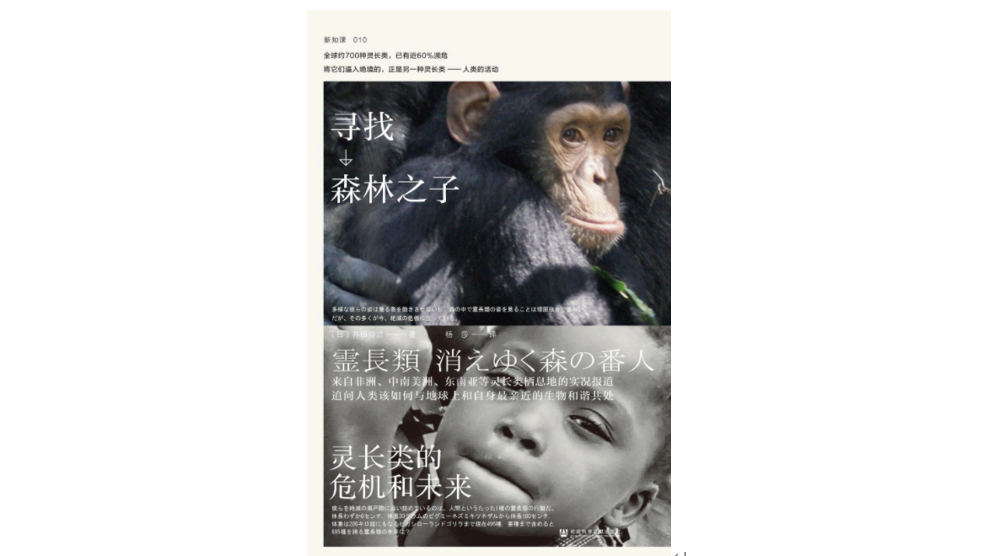 为什么说倭黑猩猩是森林中的和平主义者 腾讯新闻