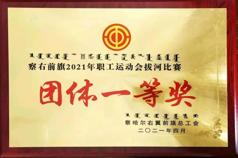 运动会结束丨多蒙德实业集团拔河队力夺冠军