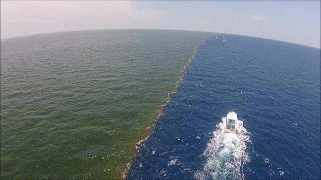 都是海水为何太平洋和大西洋互不相容是因为有条三八线